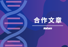 登顶Nature|产量+抗性，鱼和熊掌也可兼得